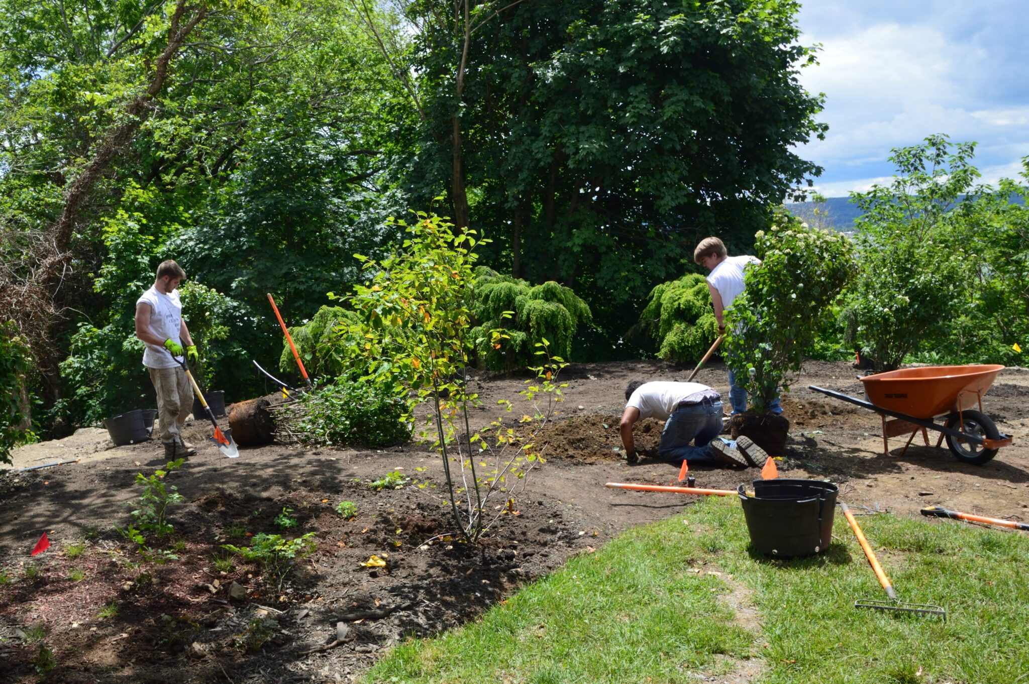 Hudson Valley Native Landscaping About Us